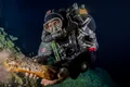 Rămășițele unui leneș gigant și ale altor două noi specii, descoperite în „gaura neagră” din Mexic, o fascinantă peșteră subacvatică