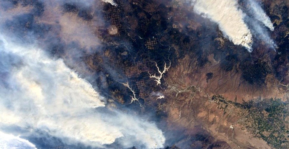 Astronauții de pe Stația Spațială Internațională, alarmați de incendiile de vegetație de pe Pământ