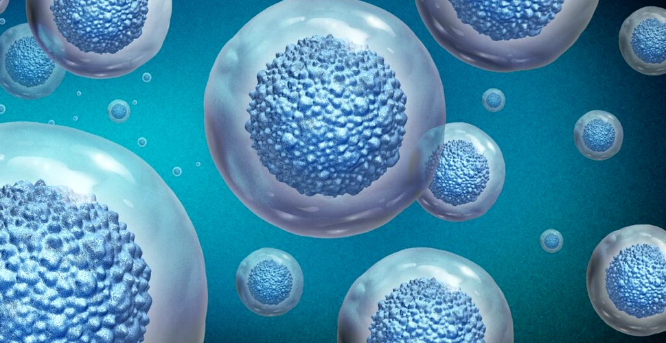 Un microorganism cu o abilitate remarcabilă trăiește în cele mai ostile lacuri ale Pământului