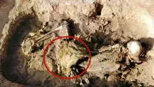 Cea mai veche șa din piele, găsită în mormântul unei femei din China