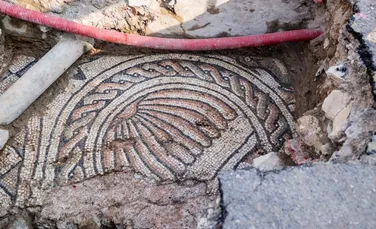 Arheologii au dezvăluit un mozaic roman cu delfini și scoici la un complex de vile din Verona