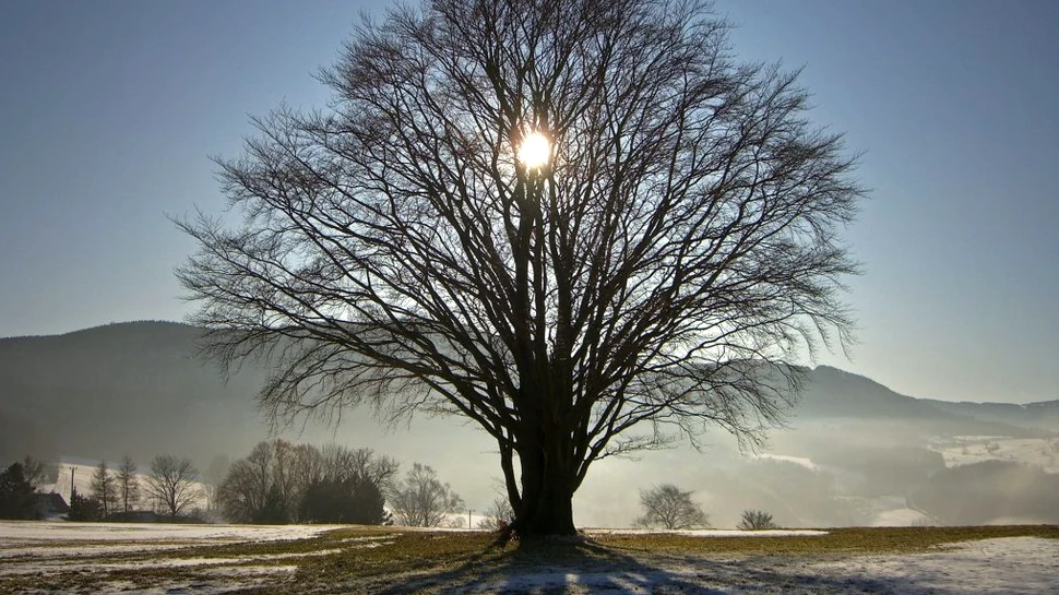 Solstițiul de iarnă. Cea mai lungă noapte din anul 2021