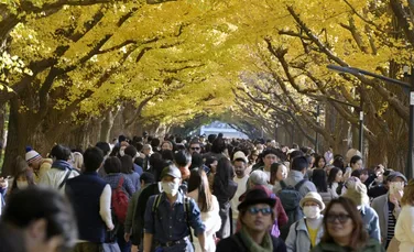 Japonia a trecut prin cea mai caldă toamnă din ultimii 126 de ani