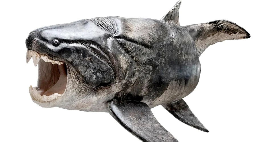 A fost descoperit primul vertebrat dotat cu dinţi: un peşte care a dominat oceanele timp de 70 de milioane de ani