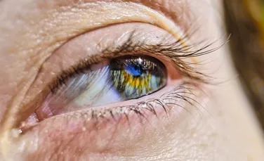 Celulele retiniene crescute în laborator, care ar putea trata unele boli oculare, testate în curând pe oameni