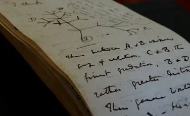 Un manuscris rar al lui Charles Darwin, scos în curând la licitație