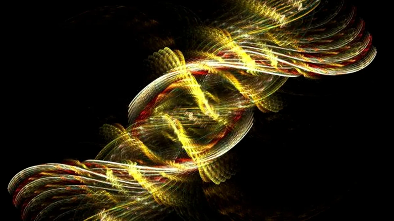 1-dna 