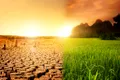 Avertisment: Criza climatică ar trebui declarată urgență globală de sănătate publică