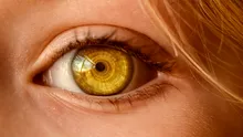 Un parazit care preferă retina infectează până la 50% dintre oameni. Ce anume ni-l transmite?