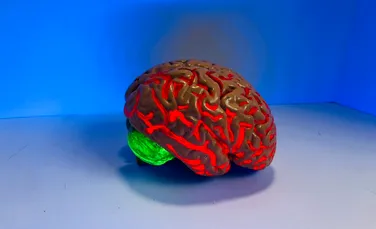 O echipă de cercetători condusă de un român a creat o nouă modalitate de studiere a Alzheimerului la nivelul creierului