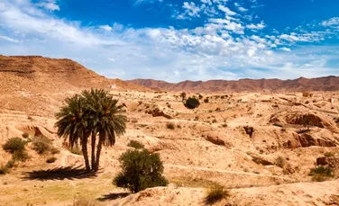 Timp de 800 de ani, o civilizație a prosperat în inima Saharei