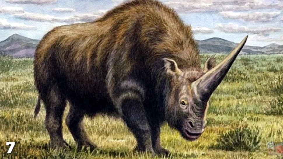 A fost aflat motivul pentru care ”adevăratul unicorn”, contemporan cu omul, a dispărut