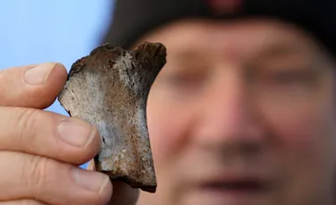 Cele mai vechi rămășițe umane din nordul Germaniei, găsite într-un mormânt de incinerare