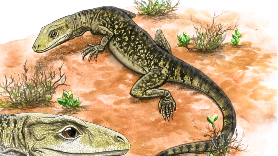 Cea mai veche șopârlă din lume și-a găsit, în sfârșit, locul în arborele genealogic