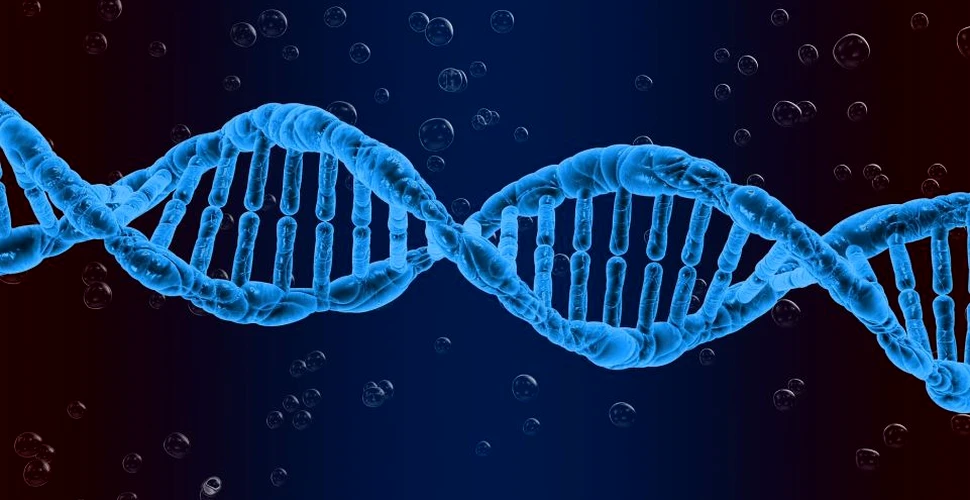 Modul în care ADN-ul este „împachetat” în celulele albe poate cauza diabetul