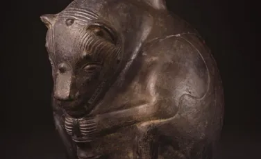 Arheologii au descoperit un câine fără păr, vechi de 1.200 de ani, într-un sit antic din Peru