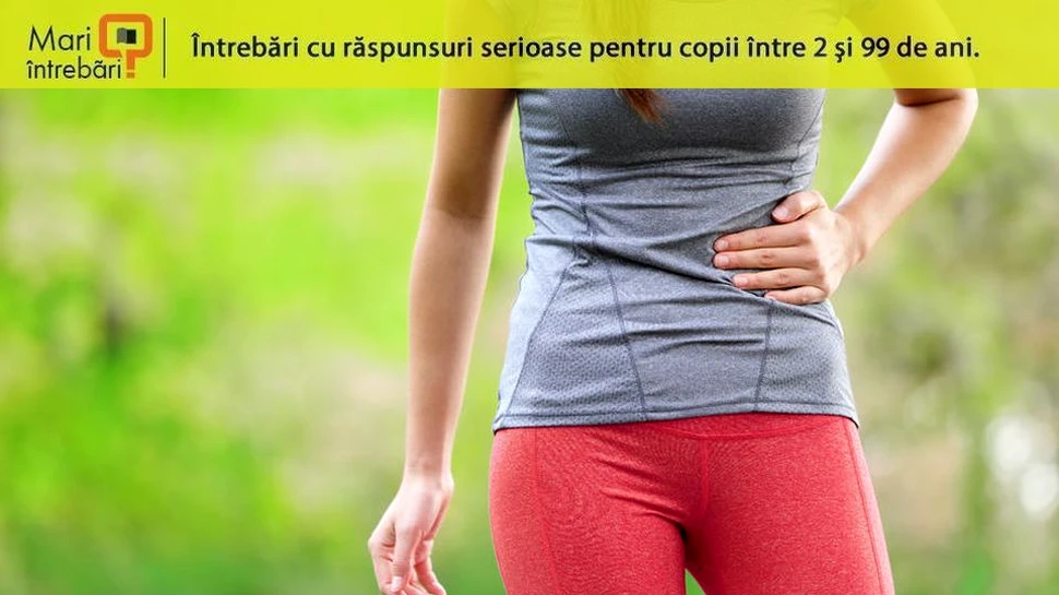 De ce apar crampele abdominale atunci când facem exerciţii fizice?