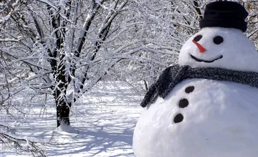 Aţi făcut iarna asta oameni de zăpadă? Sigur nu aţi respectat formula. A fost elaborată formula pentru un om de zăpadă perfect. FOTO+VIDEO