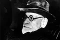 Teoriile lui Sigmund Freud, greșit interpretate. Ce arată noi analize?