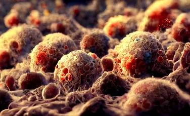 Oamenii de știință programează bacterii pentru a devora tumorile canceroase