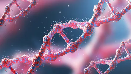 Oamenii de știință s-au înșelat! Cât de mult contează genele cu adevărat?