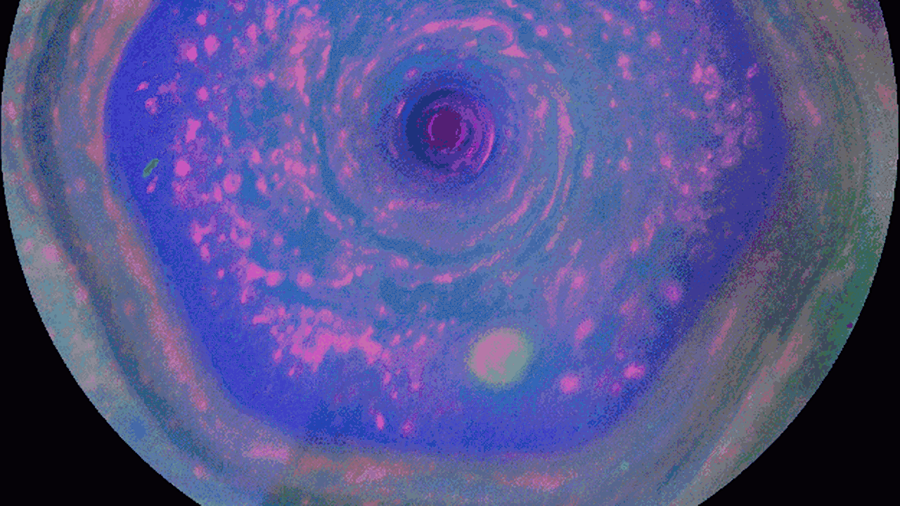 Hovawart