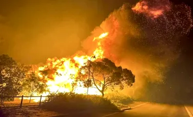Un incendiu de vegetație a ars 10 case în Australia de Vest