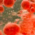 Posibili compuși anti-îmbătrânire au fost descoperiți în bacteriile din sânge