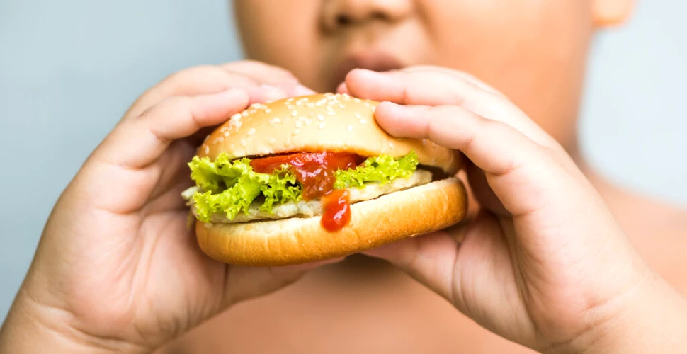 Peste 1 miliard de oameni din întreaga lume suferă de obezitate