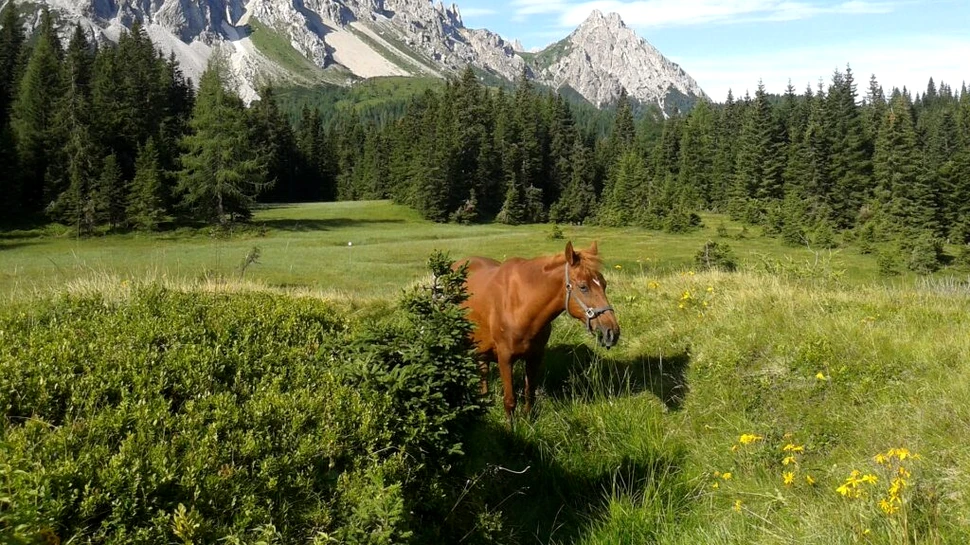 Regiunea din Italia care rambursează biletele turiștilor