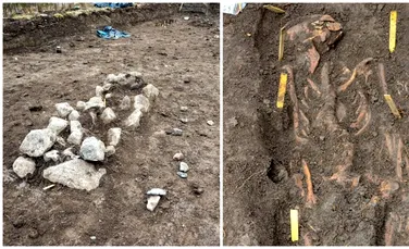 Scheletele unor gemeni vikingi, descoperite în morminte creștine din Suedia