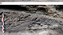 Imagine #4