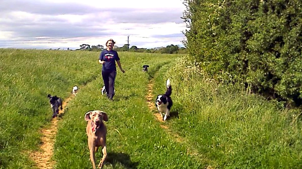 In loc sa mergi la sala, plimba cainele