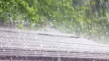 Cum ar putea fi apa de ploaie o armă secretă în lupta cu temperaturile extreme?