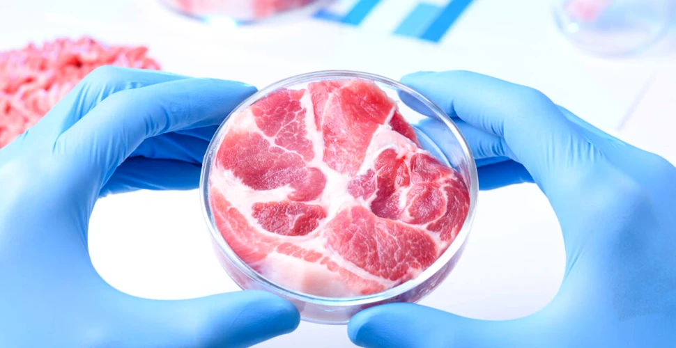 SUA au aprobat carnea creată în laborator pentru consumul uman