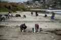Cum au ajuns milioane de bucăți de plastic pe plajele din nord-vestul Spaniei?