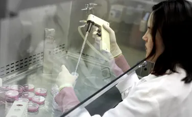 Nanoroboţii luptă împotriva cancerului (VIDEO)