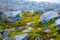 Cele mai vechi rămășițe umane din Antarctica au peste 200 de ani și o origine necunoscută