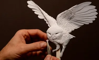 Calvin Nicholls, artistul talentat din Toronto care sculptează în hârtie.