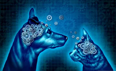 Cât de mare poate crește creierul animalelor? Misterul e la un pas de a fi rezolvat