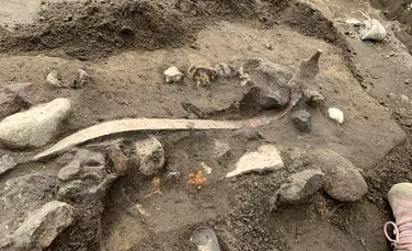 Bogății vechi de 1.500 de ani și peste 100 de arme din Epoca Fierului, scoase la lumină în Danemarca
