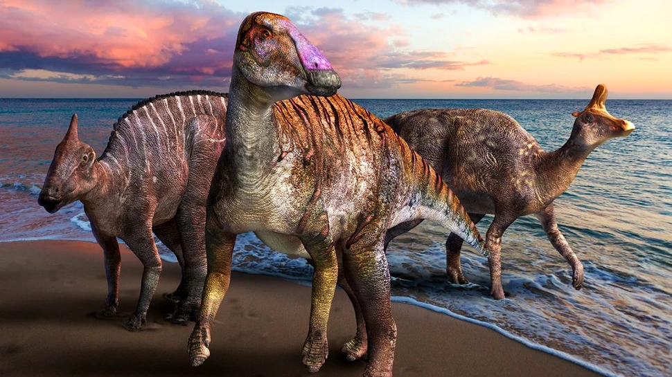 Un hadrozaur bizar cu dinți foarte ciudați a fost descoperit în Japonia