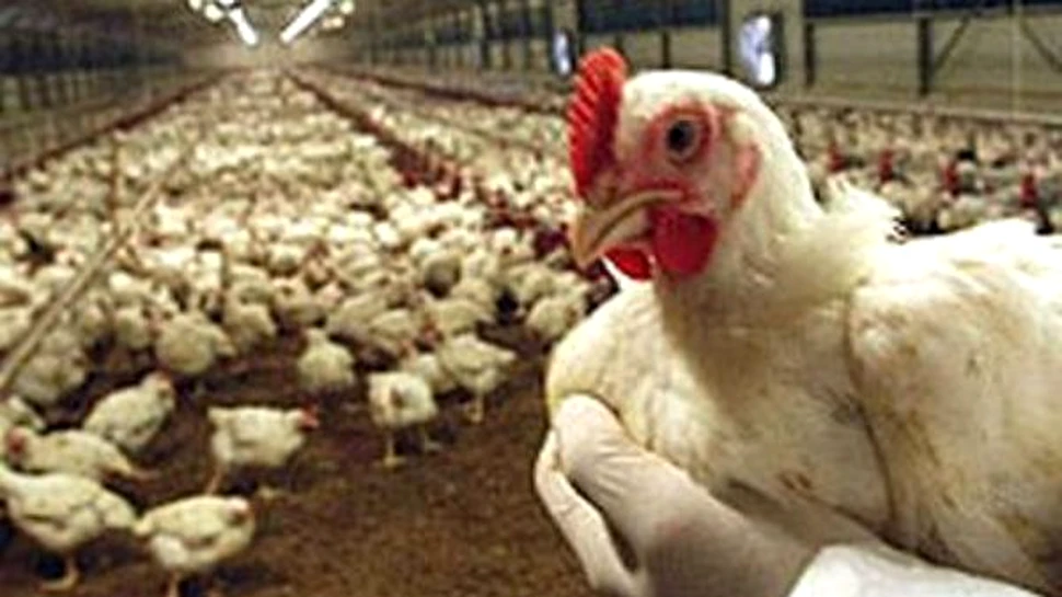 Virusul-killer a fost creat in laborator