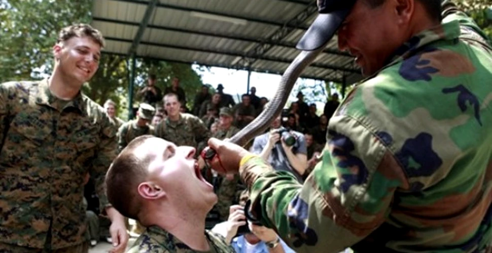 Sange de cobra, scorpioni si soparle pentru cei mai duri soldati (FOTO)