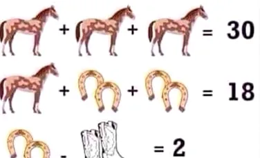 Acest puzzle matematic ţine internetul ocupat. Tu poţi să-l rezolvi?
