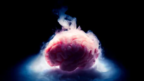 Creierul criogenat al unui cercetător, „uimitor de bine conservat” după 10 ani