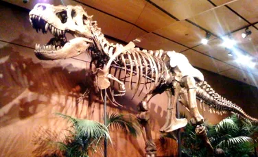 T. rex era canibal?