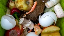 Cum să refolosim resturile din bucătărie în grădină?