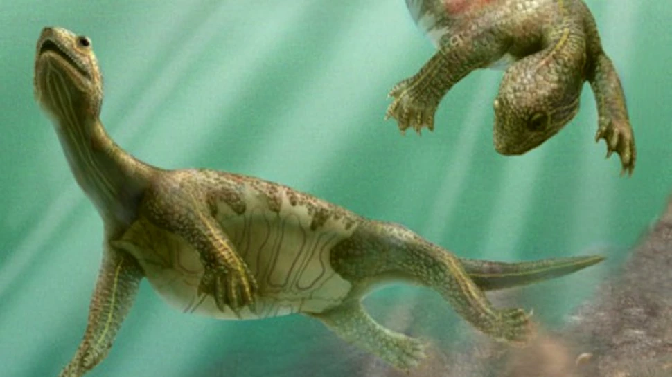 Fosila care rescrie evolutia