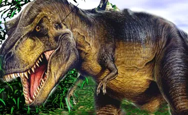 A fost descoperit varul mai mic al lui T-rex